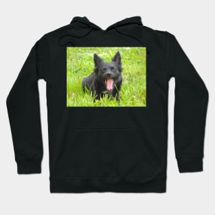 Sunny Yawn Hoodie